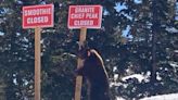 Why A "Bad Bear" Temporarily Closed Palisades Tahoe's Granite Chief Lift
