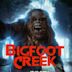 The Legacy of Boggy Creek