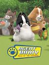 Agent Binky: Pets of the Universe