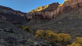 Woman dies trying to hike Grand Canyon trail to Colorado River and back in one day, park says