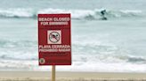 California beach reopens after closing when shark bumped surfer off surfboard: Reports