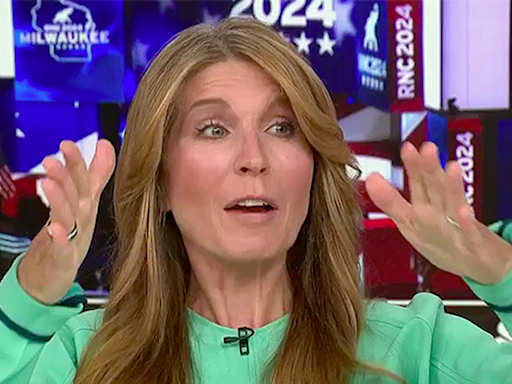 'Would wipe the floor!' MSNBC's Nicolle Wallace loses cool with guest over Kamala Harris