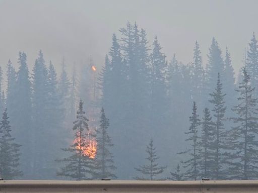 Fire, smoke upend western Canada's summer tourism season