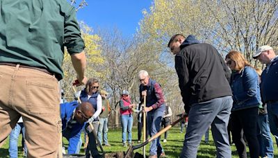 Gov. Tony Evers increases Wisconsin's commitment to plant 100 million trees by 2030