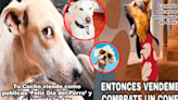 Día Mundial del Perro 2024: Disfruta los memes más hilarantes para celebrar a nuestro mejor amigo de 4 patas