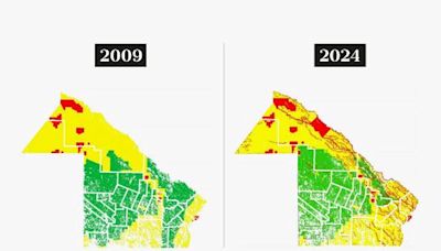 ¿Desarrollo productivo o bosques? La grieta ambiental que divide a la provincia más pobre del país