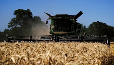 Cooling prices chill drive to add wheat acres in US Corn Belt