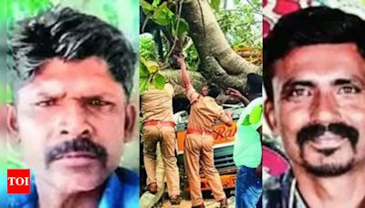 Two killed as tree falls on truck | Salem News - Times of India