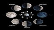 What Are The Different Phases Of The Moon? - WorldAtlas