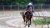 Preakness 2024: Good Plays Now That Muth Is Scratched, And Mystik Dan’s Fight With Sierra Leone