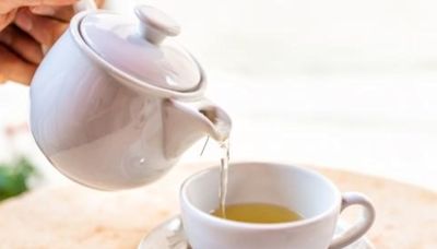 Cuál es el té que se usa como protector de enfermedades infecciosas