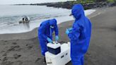 Reabren al turismo dos zonas de islas Galápagos tras descartar sospechas de gripe aviar