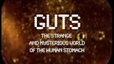 Guts: The Strange and Mysterious World of the Human Stomach