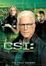 CSI: Crime Scene Investigation season 15