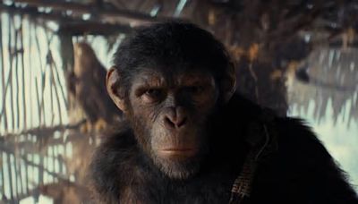 Crítica: "El planeta de los simios: Nuevo reino" recupera una franquicia que cumplió más de medio siglo