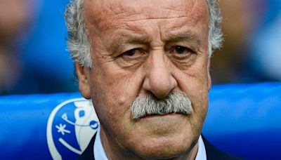 Vicente Del Bosque supervisará la Federación Española