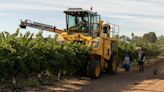 As Relations Thaw, China Lifts Tariffs on Australian Wine