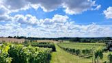 England's secret vineyard with wine tasting and craft village short drive from Liverpool