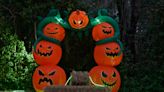 Top Halloween events in Sarasota, Bradenton, Venice, Siesta Key, Palmetto, Port Charlotte