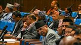 Nepal's Maoist PM loses parliamentary confidence vote