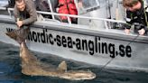 British angler catches 28 stone 7ft halibut in 'new UK fishing record'