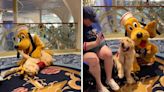 Watch a service dog on Disney Cruise reunite with his favorite character