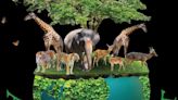 'Animal Planet' will be at Lewis Playhouse