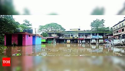 Swollen rivers in Dakshina Kannada and Udupi districts causing distress for people | Mangaluru News - Times of India