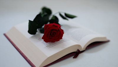 23 de abril, Día Internacional del Libro: ¿por qué se regala un libro y una rosa?