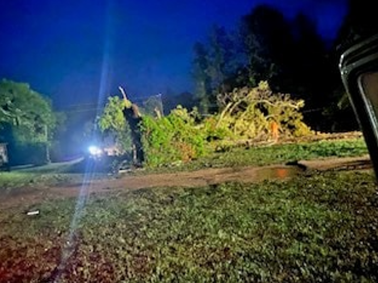 PHOTOS: Damage reports across the Wiregrass