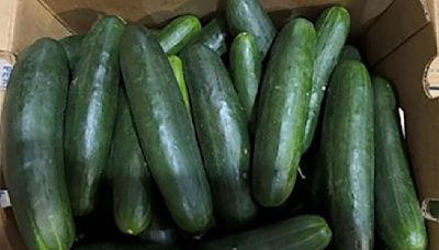 Salmonella outbreak may be linked to recalled cucumbers, CDC says