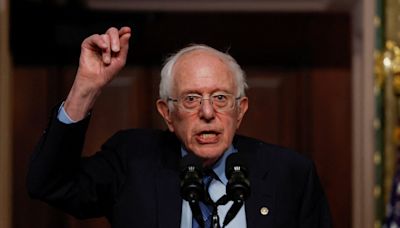 Bernie Sanders backs Biden's re-election bid