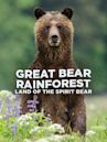 Great Bear Rainforest: Land of the Spirit Bear