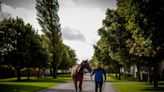 'The strongest catalogue we have ever produced for this sale' - Tattersalls Ireland September Yearling Sale entries unveiled