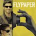 Flypaper (2011 film)