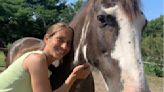 Rescata caballos maltratados, pero vive un drama y pide ayuda a la comunidad: “Son hijos para mi”