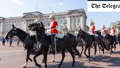 Woman headbutted by King’s Guard horse falls to floor