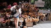 Can You Bring Dogs to Farmers' Markets? Here's What to Know Before You Go