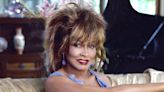 Here's Why Tina Turner Renounced Her American Citizenship And Lived In Switzerland For The Past 30 Years