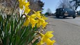 Cape Cod weather forecast: Grab some sun before gloom arrives this week