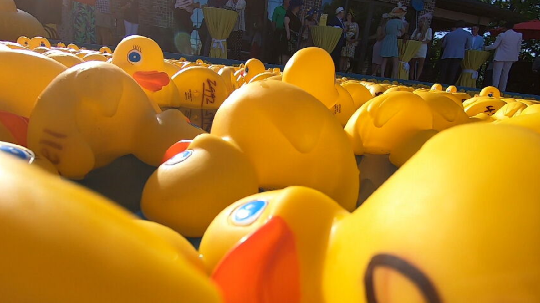 Join Carrie Sharp on Saturday at the annual Ducky Derby as they raise funds for the Wilson County Help Center