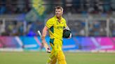 David Warner bids bye to international cricket - News Today | First with the news