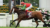 Invincible Sage Strikes For Elite-Level Breakthrough In Chairman's Sprint Prize