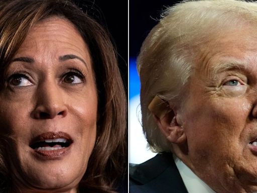 Critics Flag 1 Huge Flaw In Trump’s Claim About Kamala Harris And Jewish People