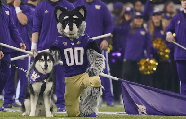 Washington Huskies vs WSU Cougars football game streaming only on Peacock in Week 3: How to watch the Apple Cup