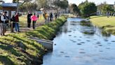 Florida gears up to feed manatees again this winter