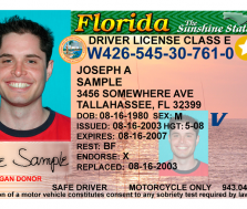 REAL ID deadline moving closer. 14 things you need to know to get your Florida license