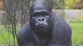 Man is charged after gorilla statue was allegedly stolen