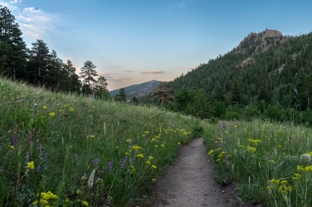 Off the Beaten Trail: Take in the beauty of peak wildflower season