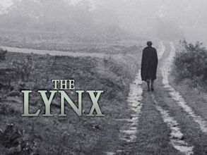 The Lynx